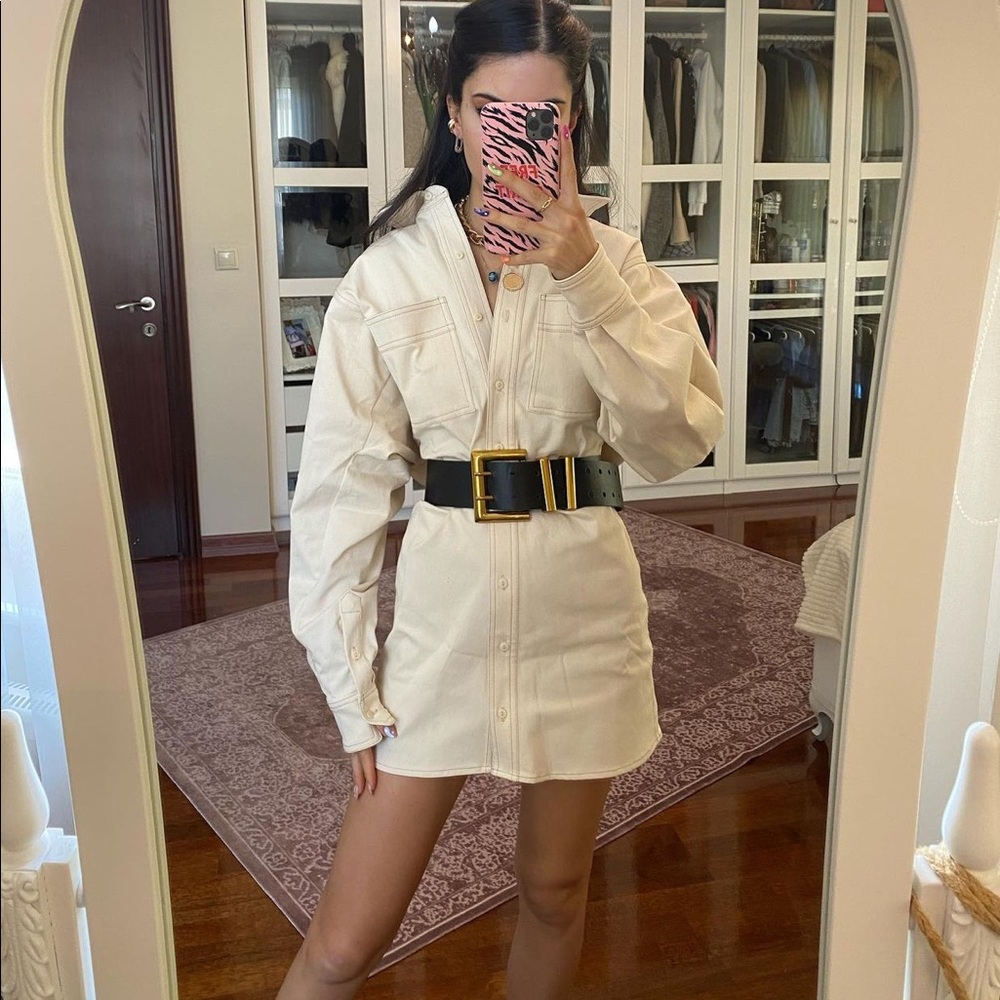 Zara button closure dress bloggers favorite - Picture 6 of 15